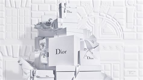 oreiller dior|Dior official website uk.